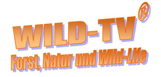 Wild-TV Logo